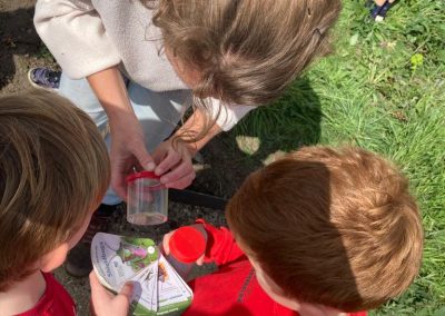 Identifying insects at our Forest School Event