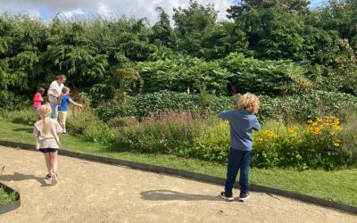 24th May 2025 – Biodiversity Workshop for young people (Ages 5 – 12)