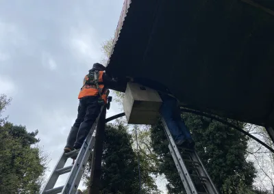 Kildare Birdwatch volunteers installing a Barn Owl nest box in a barn