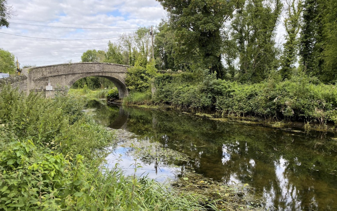 21st May 2024 – Presenting the Ardclough Biodiversity Action Plan